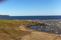 Lake Winnie Open Water