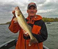 Leech Lake Walleye