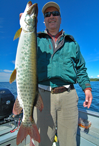 Musky caught by Bob Biegler on Lake Winnie