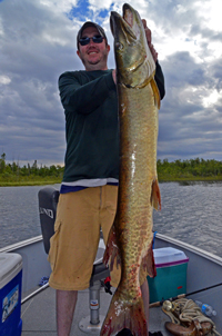 Musky caught by Bob Churack