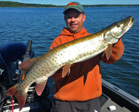 Musky caught by Sean Colter on Pokegama