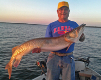 Musky Caught by Mark Friedan on Lake Winnibigoshish