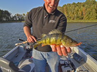 Perch Fishing Guide Jeff Sundin showing a nice Perch