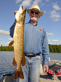 Northern Pike caught by Greg Past on Wabana Lake