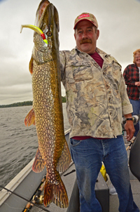 Northern Pike caught by George Hauck on Winnibigoshish