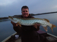 Musky caught on Deer Lake