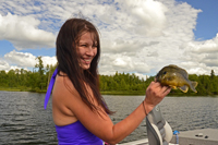 Sunfish caught by Stearns on Wabana Lake