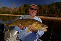 Walleye Caught by David Reid on Cutfoot Sioux