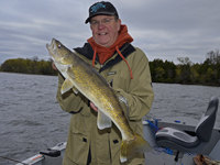 Walleye caught by Bruce Champion on Leech Lake