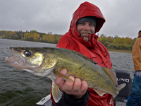 Walleye caught by Chris Andresen on Bowstring Lake