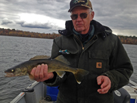 Walleye caught by John Puddicombe