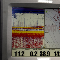 Walleyes on Humminbird Screen