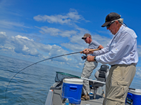 image of Bill Linder reeling in a red lake walleye