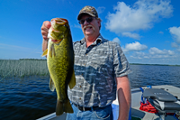 image of largemouth bass caught on lake winnie