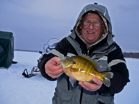 image of Arne Danielson holding Blugill on the ice
