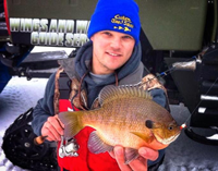 image of Bluegill ice fishing