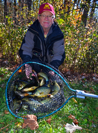 image of Erling Hommedahl with net full of Crappies