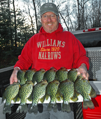 image of big Crappies on board held by Tom Cashman
