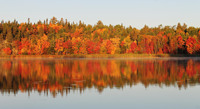 image of fall colors