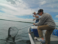 image of Jim and Jan Bopp landing smallmouth bass