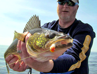 image of Walleye Pro John Mickish holding Walleye