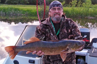 image of Gus' Place guest Arlin holding 30 inch Walleye