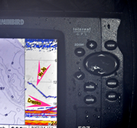 image of Humminbird 597 showing school of active Crappies