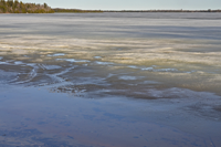 image of ice melting on Deer Lake april 20 2014