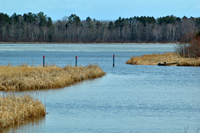 image of the Walleye Egg Harvest Station at Little Cutfoot