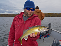 image of eating size Lake Winnie Walleye