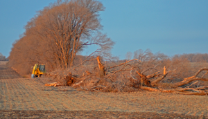 image of CRP land destroyed