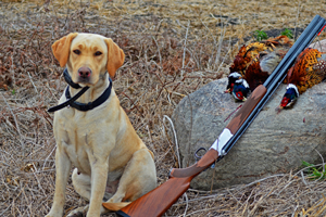 image of Sandy with pheasants