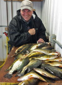 image of mixed bag walleyes, perch and Crappies