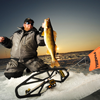 image of Pat Kalmerton holding big Walleye on ice