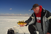 image of Arne Danielson holding Jumb Perch on the ice