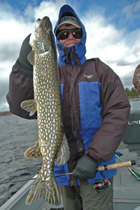 image of Dale Wheeler, New Orleans LA holding a larger Northern Pike that he caught on Round Lake