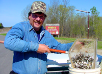 image of Shiner Minnows in dip net