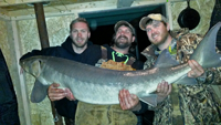 image of Sturgeon caught on the Rainy River