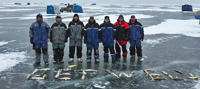 image of ice fishermen with limits of Red Lake Walleyes