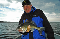 image of Bill Linder holding a Red Lake Walleye