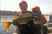 image of Tom Howell holding a Walleye at Cutfoot Sioux