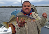 image of Neng Shao holding nice Walleye