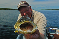 image of Walleye guide Jeff Sundin holding fish