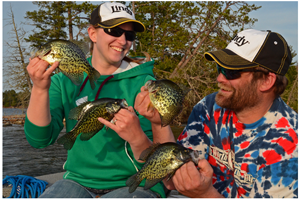 image of anglers with nice crappies