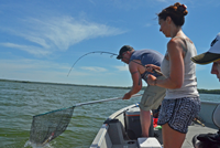 image of Phil and Jackie Goettl landing big Walleye