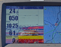 Crappies appear on humminbird screen