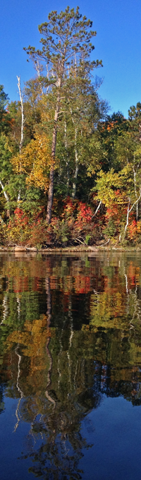 image of fall colors on sand lake
