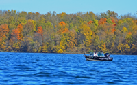 image of fall colors on winnibigosh