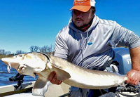 Andy Walsh holding big Rainy River Sturgeon