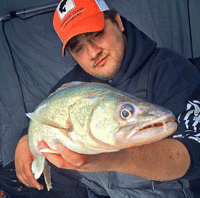 image of Andy Walsh with Lake Winnipeg Walleye